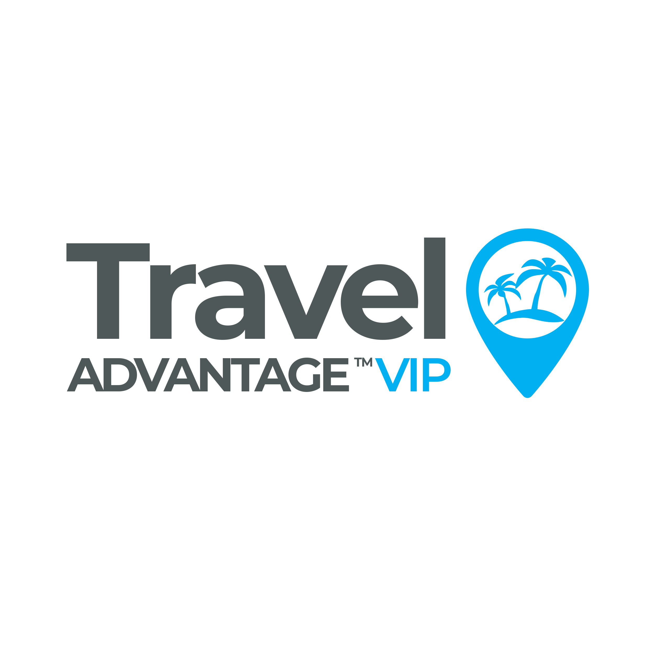 TA VIP